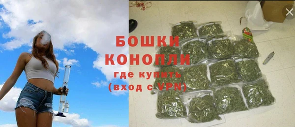 твердый Богородск