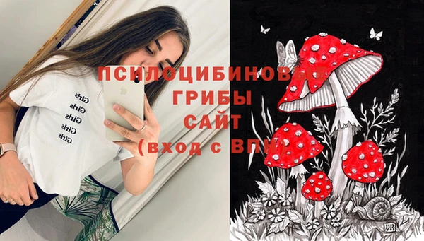 СК Богданович
