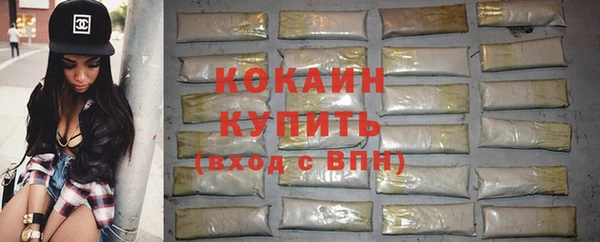 твердый Богородск