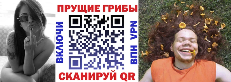 Галлюциногенные грибы MAGIC MUSHROOMS мориарти телеграм Верхотурье купить сайты